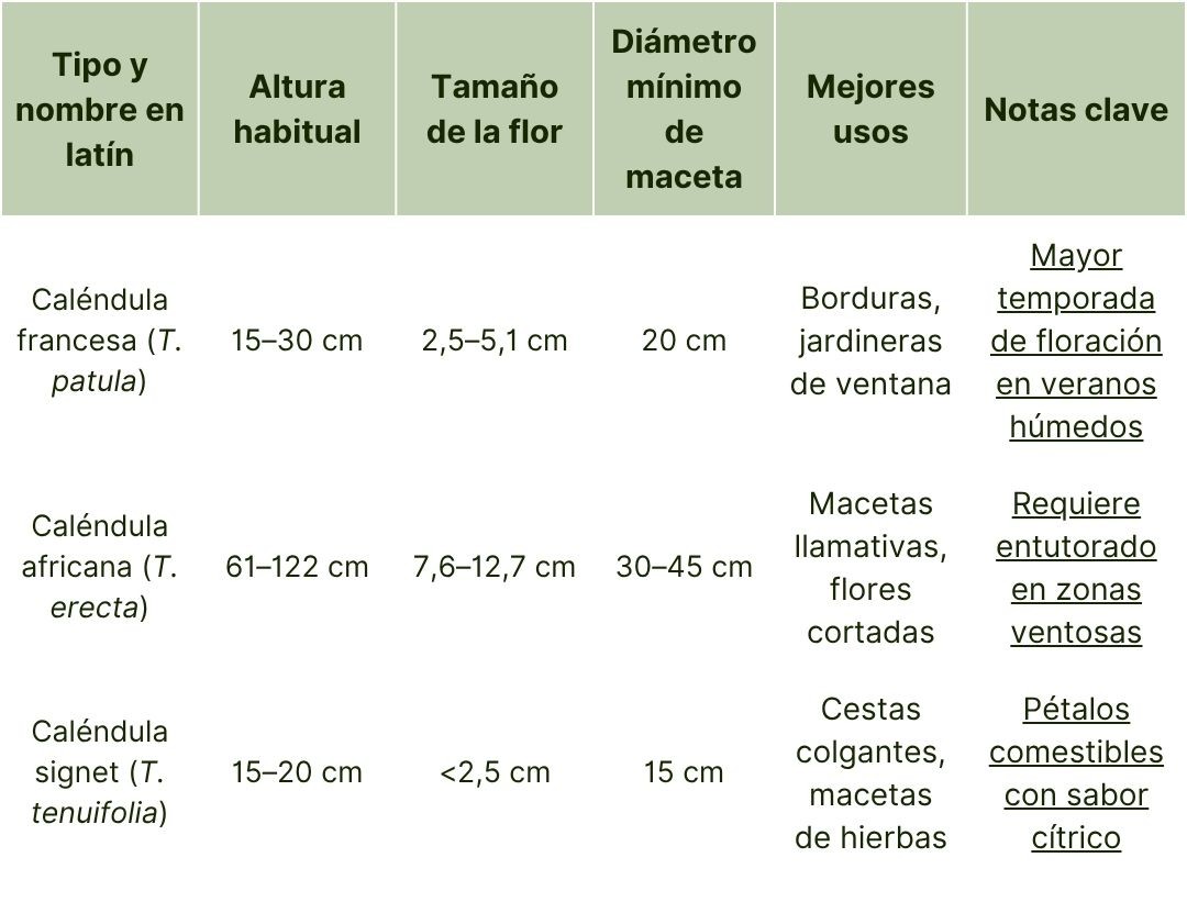 Tipos de caléndulas.jpg